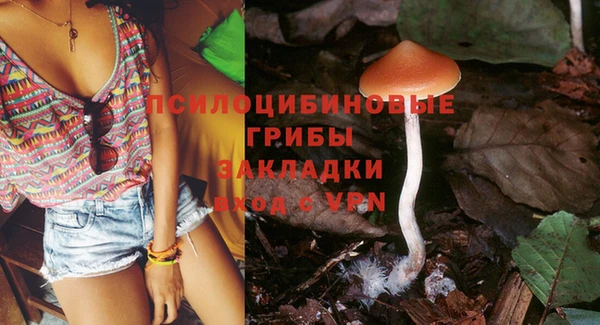 прущая мука Гусев