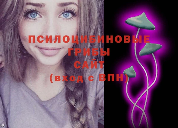 прущая мука Гусев